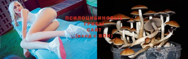 2c-b Абинск