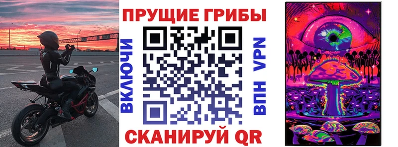 где найти наркотики  Приморско-Ахтарск  Галлюциногенные грибы прущие грибы 