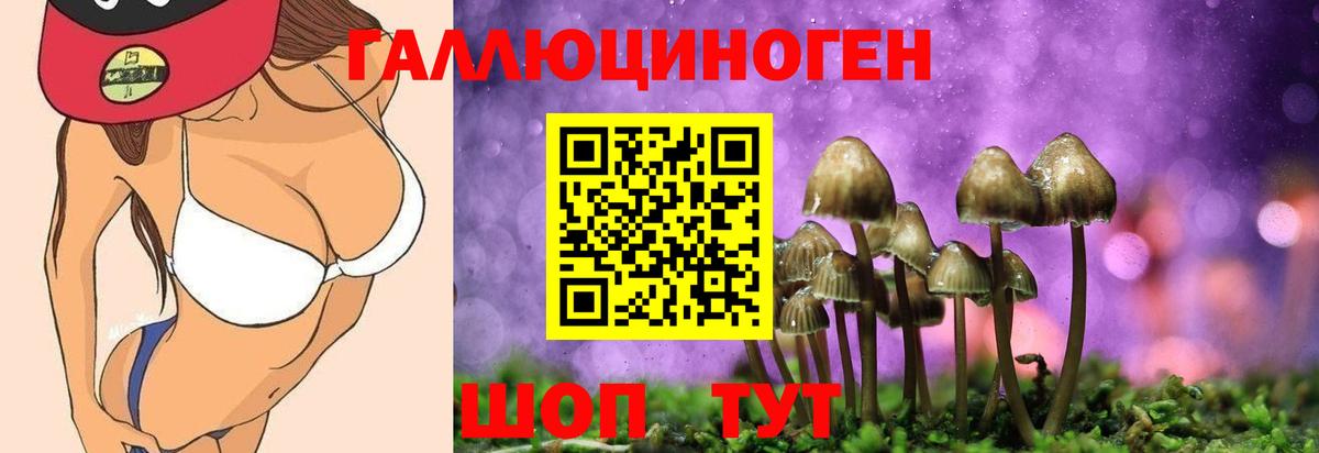 сколько стоит  Вход с VPN  Приморско-Ахтарск  Галлюциногенные грибы мухоморы  Галлюциногенные грибы Psilocybine cubensis 